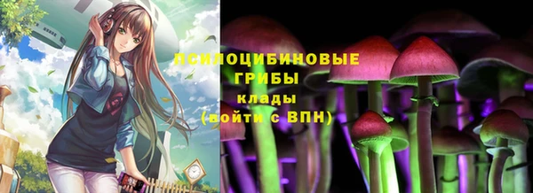 эйфоретик Богородицк