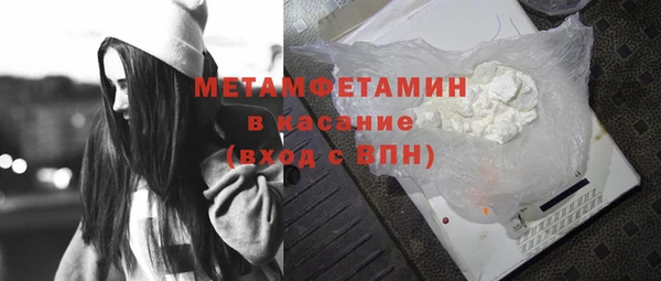 индика Богородск