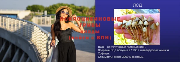 индика Богородск