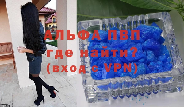 экстази Бородино