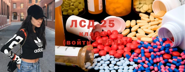 индика Богородск