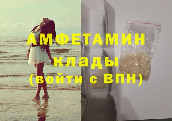 индика Богородск