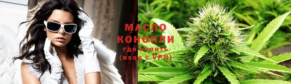 индика Богородск